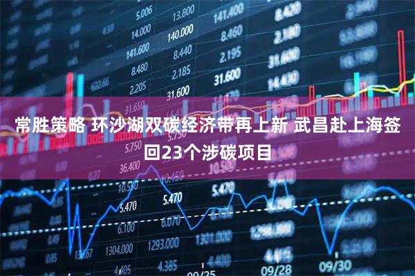 常胜策略 环沙湖双碳经济带再上新 武昌赴上海签回23个涉碳项目