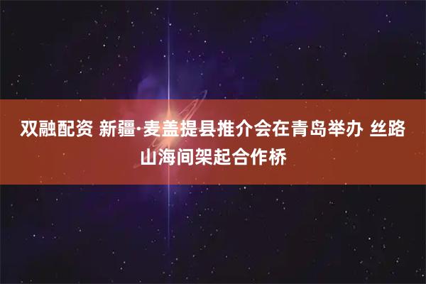 双融配资 新疆·麦盖提县推介会在青岛举办 丝路山海间架起合作桥
